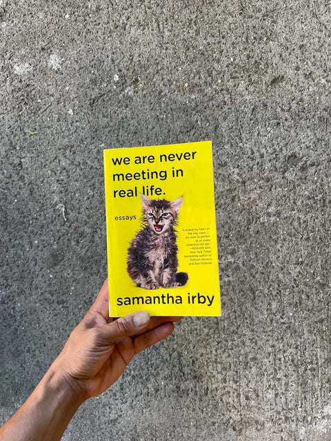 We Are Never Meeting by Irby