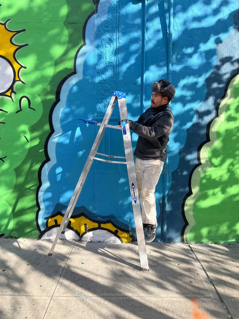 Werner 6ft Ladder