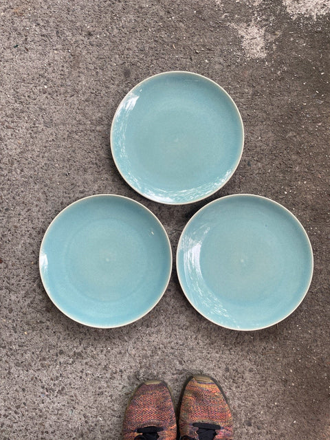 West Elm Teal Dinner Plates