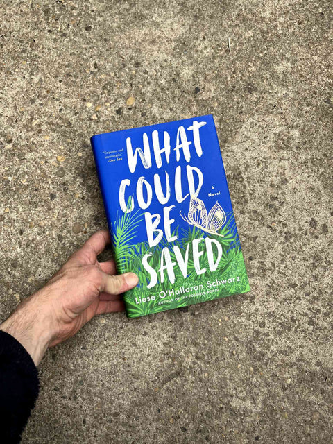 What Could Be Saved by Liese O'Halloran Schwarz