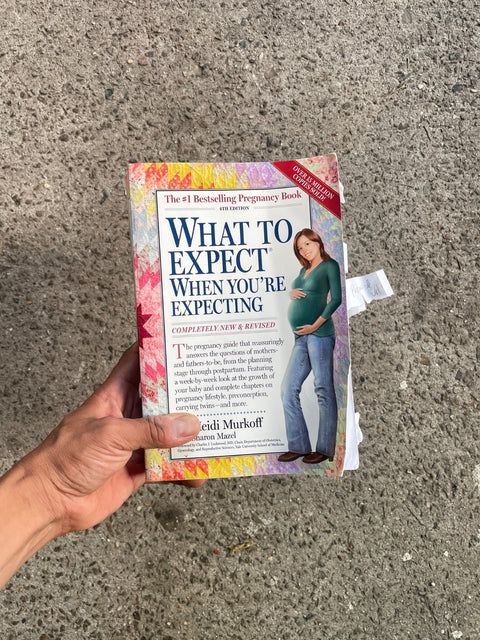 What To Expect Book