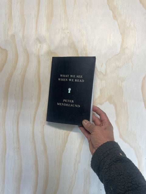 What We See When Reading