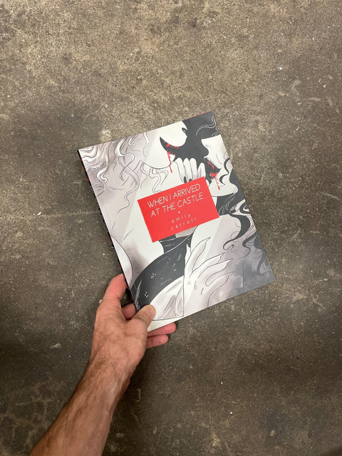 When I Arrived At Castle By Emily Carroll