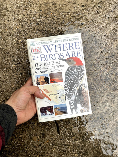 Where the Birds Are