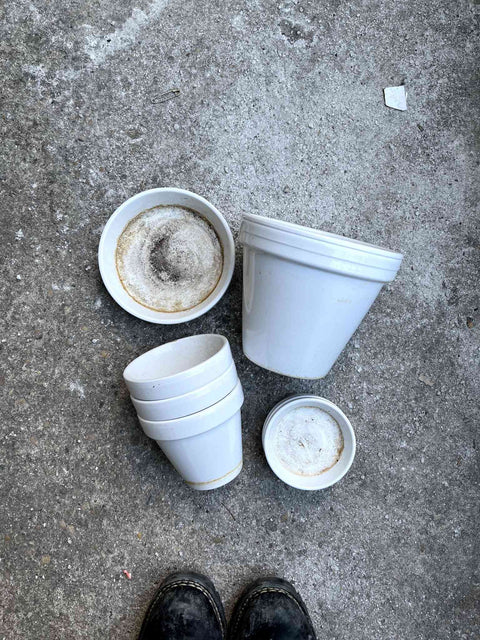 White Ceramic Plant Pots Set
