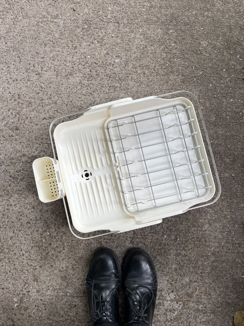 White Extendable Dish Rack