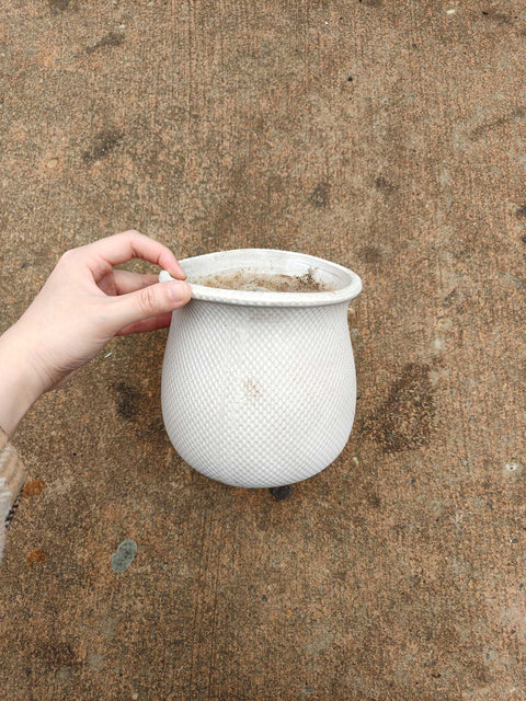 White Textured Planter