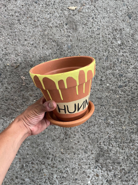 Winnie The Pooh Hunny Planting Pot