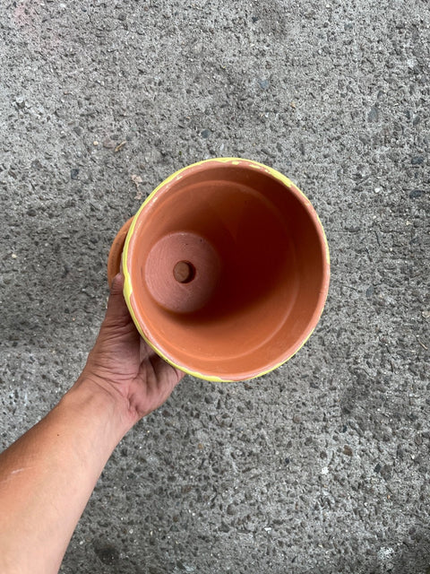 Winnie The Pooh Hunny Planting Pot