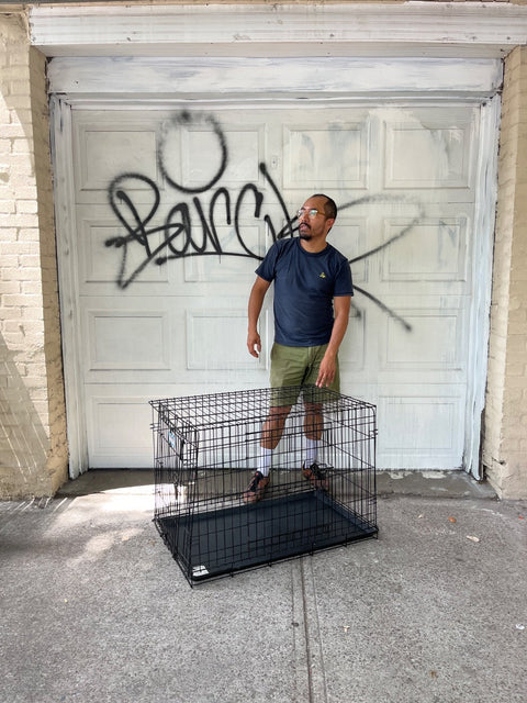 Wire Dog Crate, 36x22x25"