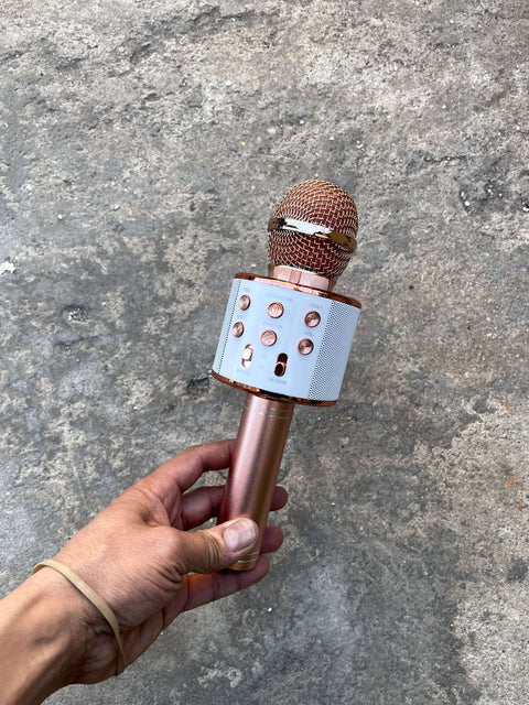 Wireless Karaoke Microphone