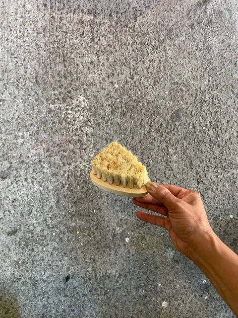 Wood Handled Scrub Brush