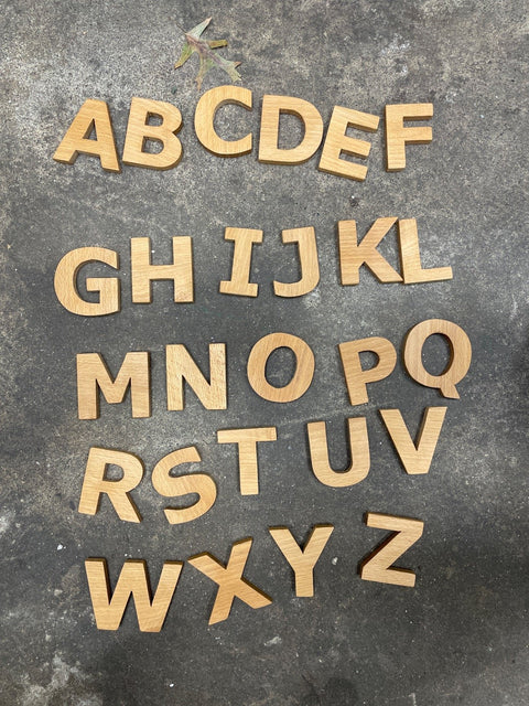 Wooden Magnetic Alphabets