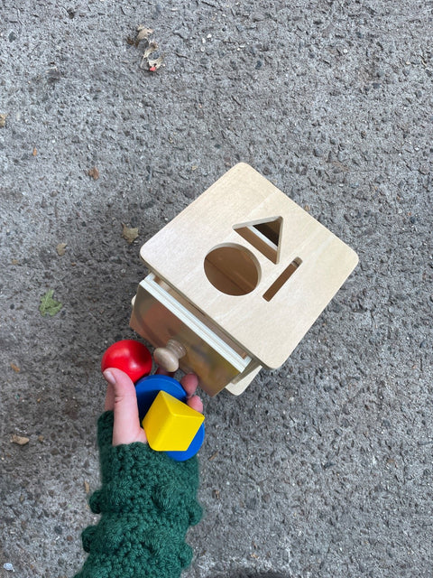 Wooden Shape Sorter Cube