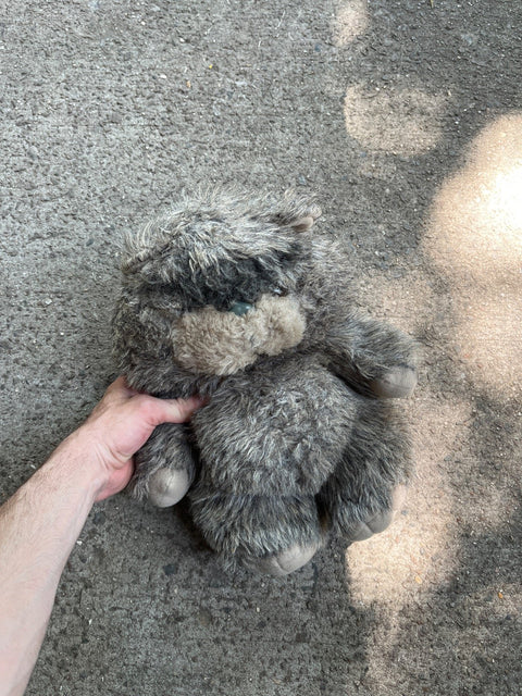 Your Big Furry Friend
