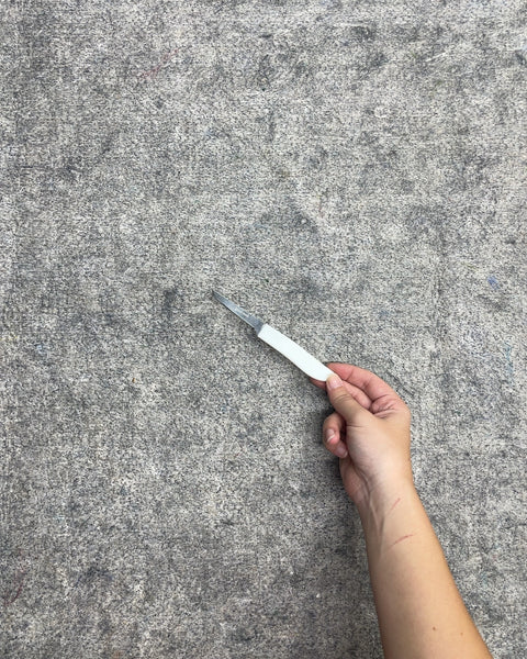 GoodCook White Handle Paring Knife