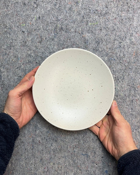 Crate & Barrel Speckled Dessert Plate