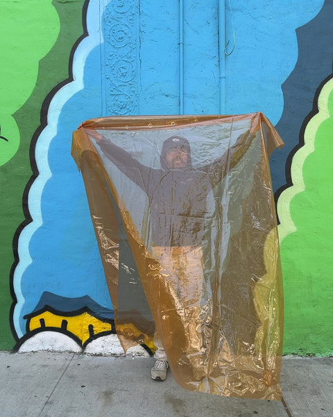 Clear Plastic Shower Curtain
