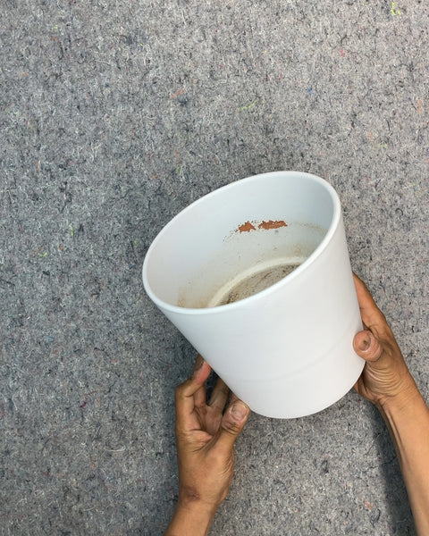 White Planter Pot, W7.5xH8