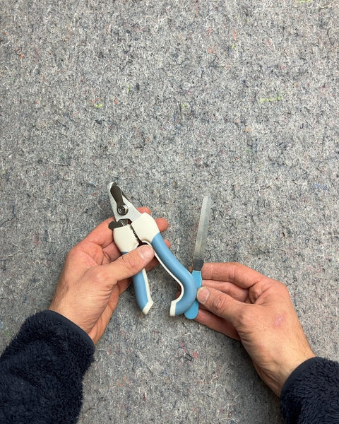 Pet Nail Clippers and File Set