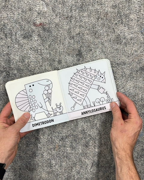 Rub-A-Dub Dinos! Color Magic Bath Book