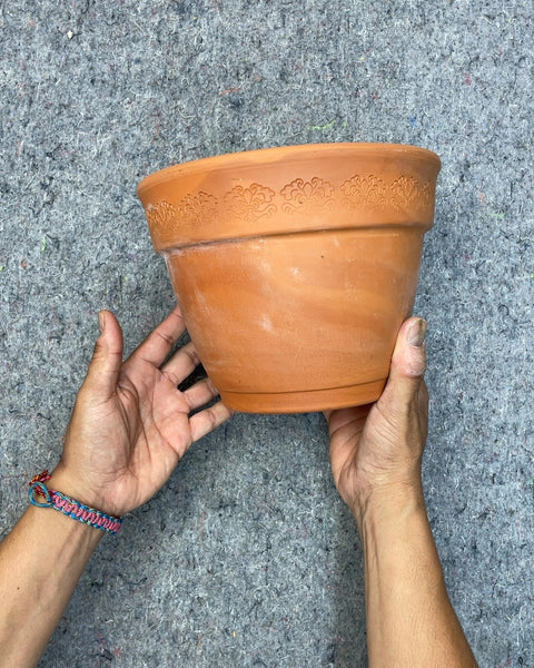 Terracotta Planter Pot with Embossed Rim, 8x6"