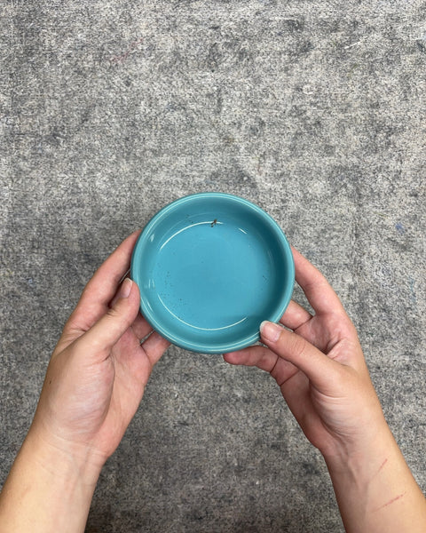 Glazed Ceramic Plant Saucer in Electric Blue, 4.75"