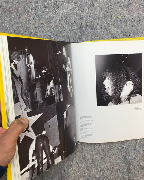 Playground: Growing Up in the New York Underground by Paul Zone and Jake Austen