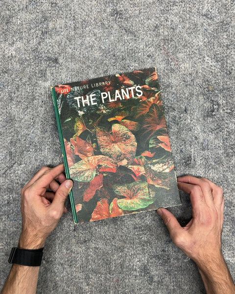 The Plants by Frits W. Went