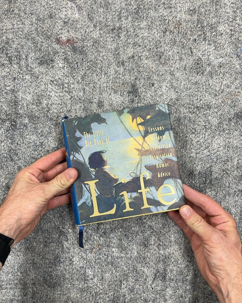 The Little Big Book of Life