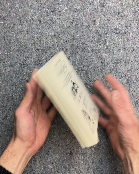 Brush Up Your Shakespeare! by Michael Macrone