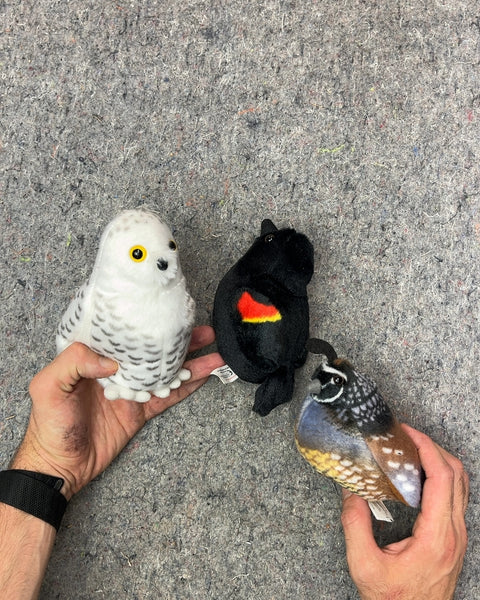 Wild Republic Audubon Birds That Sing When You Press Them