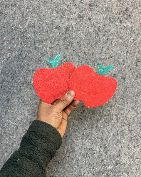 Apple Cork Coasters