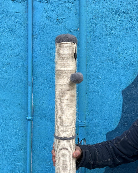 Cat Scratching Post with Platform