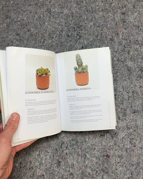 Prick: Cacti and Succulents by Gynelle Leon