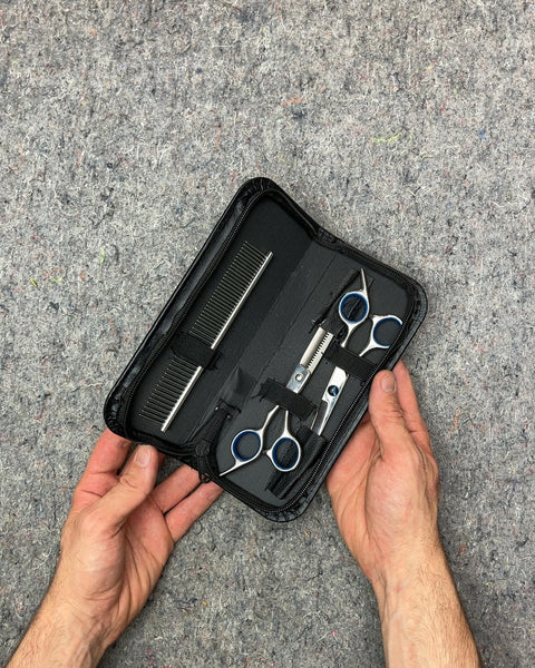 Pet Grooming Scissors and Comb Kit
