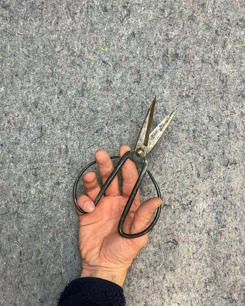Antique Metal Scissors, Large