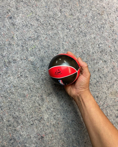 Toronto Raptors Mini Basketball