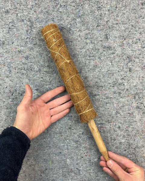 12” Coco Coir Moss Pole