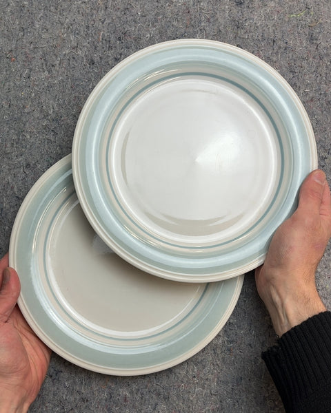 Two More "Blue Mist" Stoneware Dinner Plates by Daniele Impressions