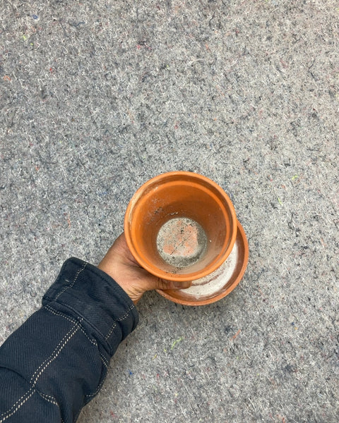 Terracotta Pot with Saucer