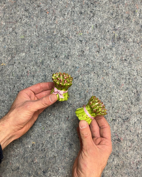 Asparagus Salt and Pepper Shakers