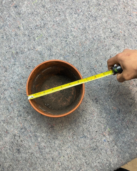 Terracotta Clay Plant Pot, YxY"