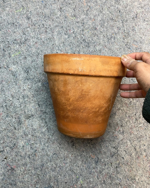 Medium Terracotta Planter, 7"