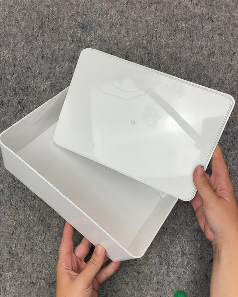 Plastic Storage Box with Lid, 10 x 7 in