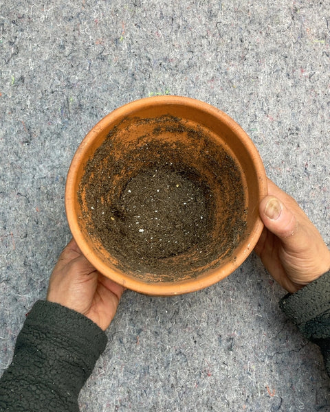 Terracotta Clay Pot with Saucer