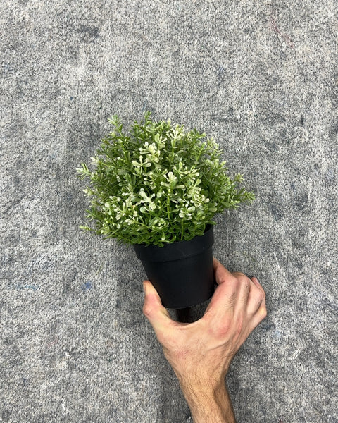 Small Faux Potted Plant For Austin's Collection