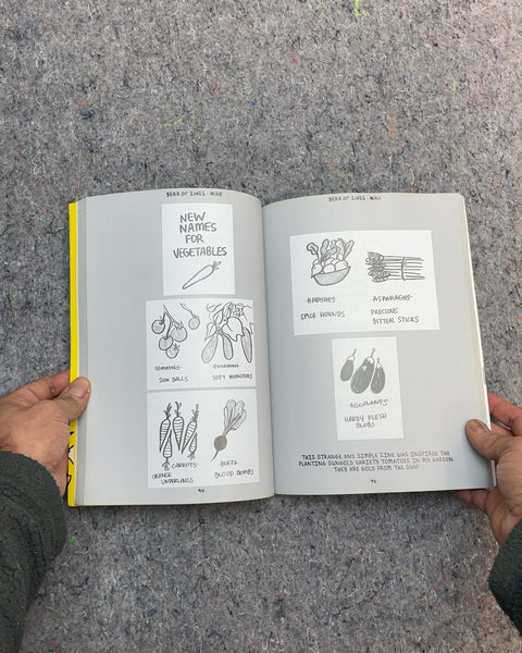 Year of Zines! Book