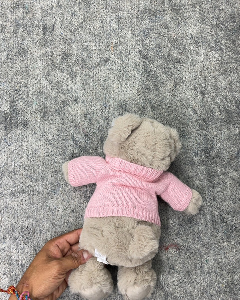 Big Sis Teddy Bear Plush Toy