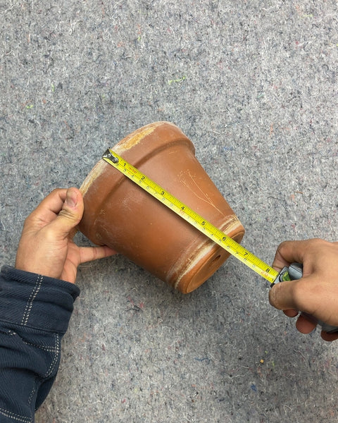 Terracotta Plant Pot, 6x7"